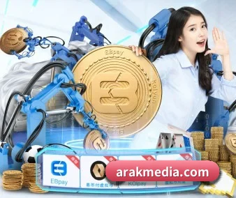 aoa网页版入口 APP 界面